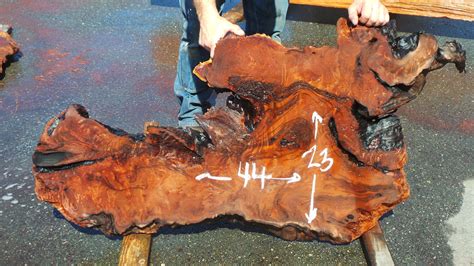 Sl 119 Redwood Burl Inc