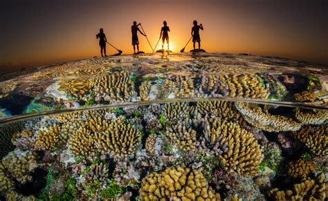 Our Beautiful Ocean | United Nations