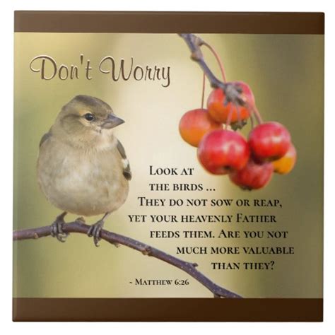 Matthew 6 26 Bible Verse Don T Worry Ceramic Tile Zazzle Au