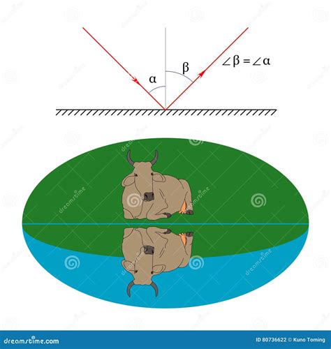 Refraction Example Vector Illustration Diagram