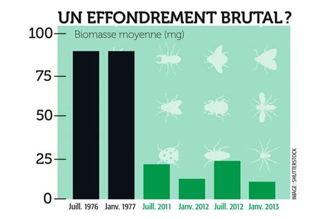 La D Ch Ance Des Insectes Qu Bec Science