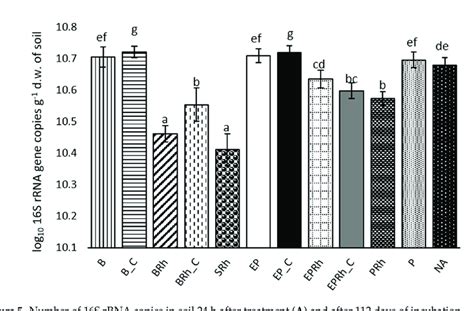 Number Of 16s Rrna Copies In Soil 24 H After Treatment A And After