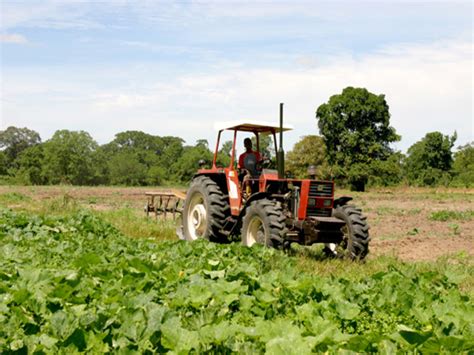 Señalan Que Pérdida De Producción Se Debe Al Bajo Poder Adquisitivo En Venezuela Minuta