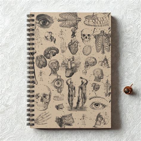 Anatomy Logbook Vintage