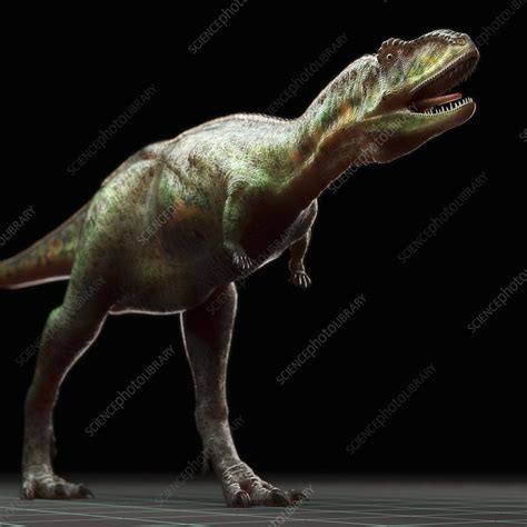 Aucasaurus Dinosaur Artwork Stock Image C Science Photo