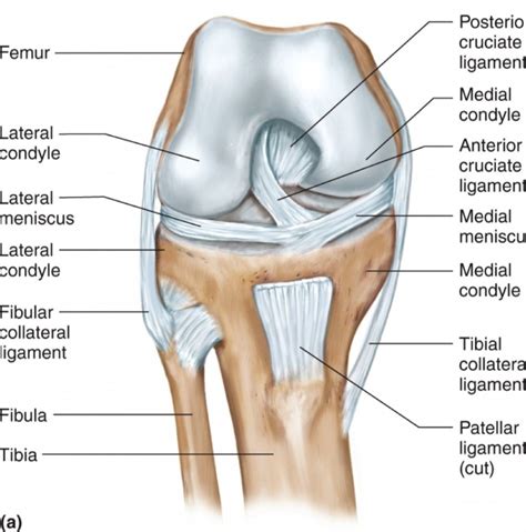 Blog Set In Motion Physiotherapy