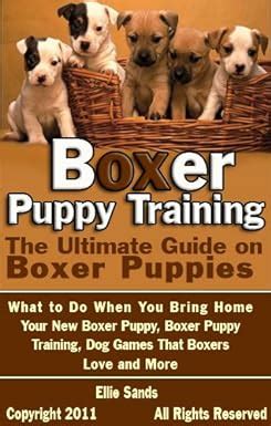 Boxer Puppy Training: The Ultimate Guide on Boxer Puppies, What to Do ...