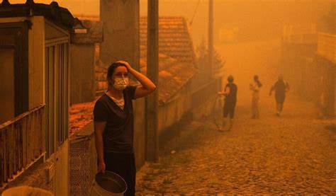 Incendies au Portugal sept morts 10 000 hectares partis en fumée Le