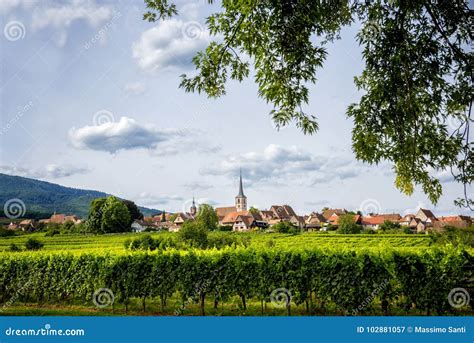 Wine Road In Alsace Wine Landscape Stock Image Image Of Architecture