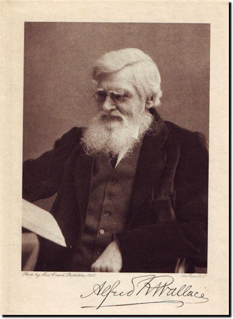 Alfred Russel Wallace