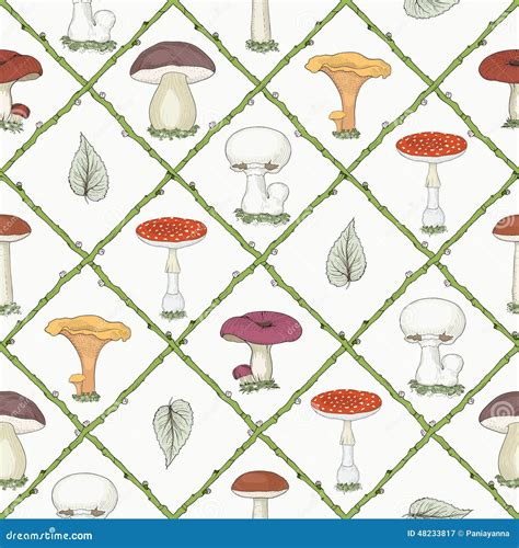 Hand Drawn Mushrooms Seamless Pattern Stock Vector Illustration Of