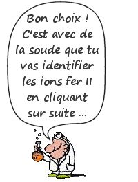 Quel R Actif Pour Identifier Les Ions Fer Ii