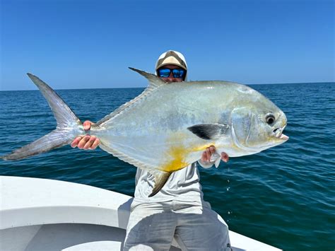 Naples Inshore And Offshore Fishing Reports Naples Inshore Offshore