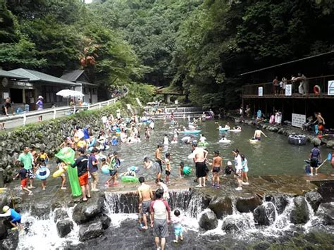 「多度山」は愛犬とも登れる登山初心者におすすめの山！駐車場やおすすめコースをご紹介！ 取材レポート 観光三重 かんこうみえ