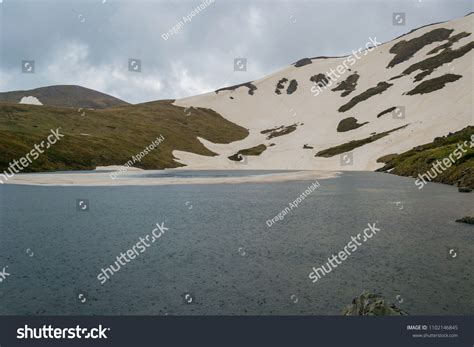 75 Shar Planina Images, Stock Photos & Vectors | Shutterstock