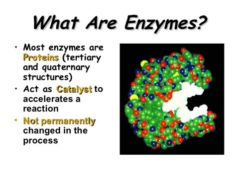 Enzymes