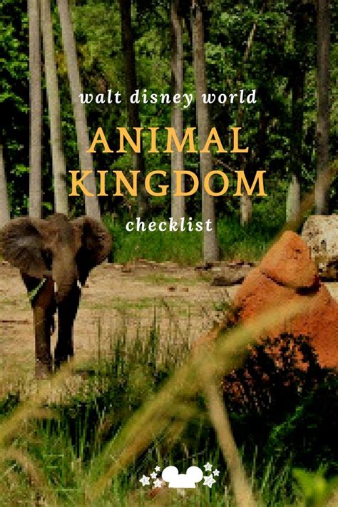 Animal Kingdom Walt Disney World Checklist Animal Kingdom Disney