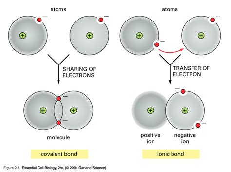 Lesson 3 Ionic And Covalent Compounds Grade 11 University Chemistry