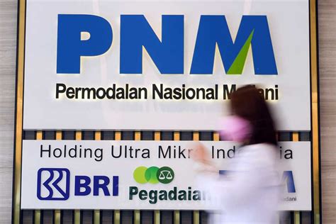 Gandeng Pip Pnm Siapkan Pembiayaan Ultra Mikro Rp Triliun