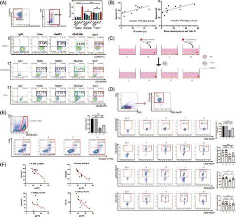 Bmscs Regulated Nk Cells Function By Tim Galectin In A Direct