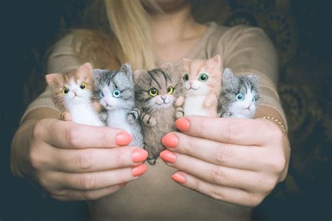 Игрушка котенок. Котенок, котенок валяный, котенок из шерсти, милые ...