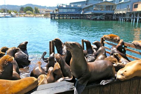 Fisherman's Wharf - Monterey Regional Airport