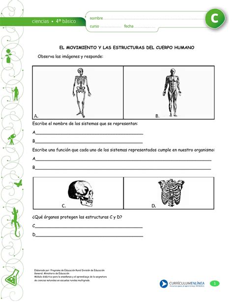 1 EL MOVIMIENTO Y LAS ESTRUCTURAS DEL CUERPO