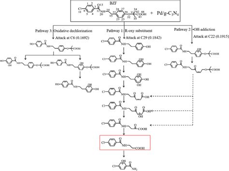 Degradation Pathway Of Bezafibrate By Pdg C3n4 Reproduced From Ref Download Scientific