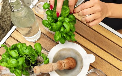 Manarola Authentic Pesto Making Class At Cinque Terre GetYourGuide