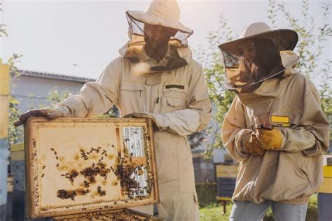 Premium Photo Two Beekeepers Works With Honeycomb Full Of Bees In