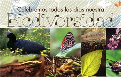 Día De La Biodiversidad En Colombia