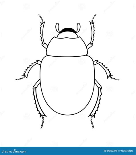 Arte Del Dibujo Del Insecto Del Escarabajo Del Escarabajo Ilustraci N