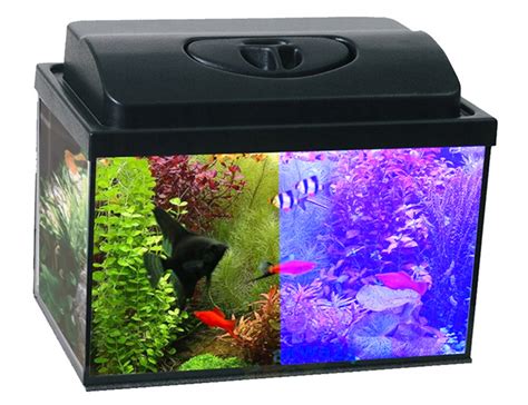 AKWARIUM 30L 40x25x30cm POKRYWA LED DZIEŃ NOC Korzeń 13 gratisów