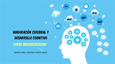 Maduración Cerebral Y Desarrollo Cognitivo By Drakotesla Tesla On Prezi