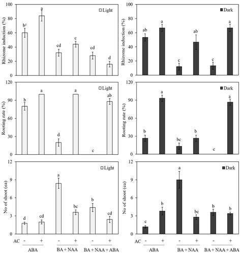 Genes Free Full Text Establishment Of An Efficient In Vitro