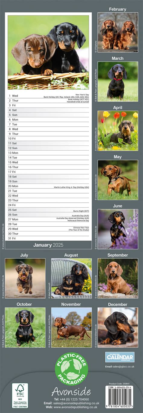Acheter Calendrier Teckel 2025 Slimline Commander Simplement En Ligne