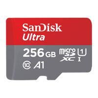 Carto Memória Micro Sd Sandisk 256GB Microsd