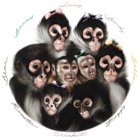 5 Celebrity Net Worth Secrets Revealed