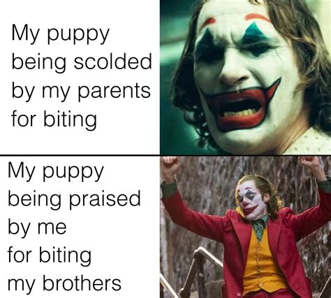 Meme Joker 21+ Best Joker 2019 Memes - 2023