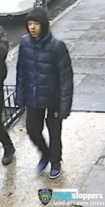 Help Identify An Assault Duo The Bronx Daily