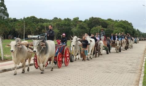 S O Jo O Do Sul Reconhecida Como Capital Catarinense Do Carro De Boi