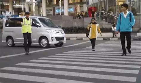 Mengetahui Ketentuan Zebra Cross Di Jalan Dan Penjelasannya