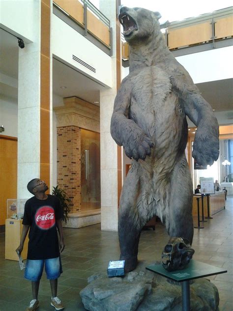 Giant Bears, historic and ancient Over 12 feet tall – Monsters of the Past. | Млекопитающие ...