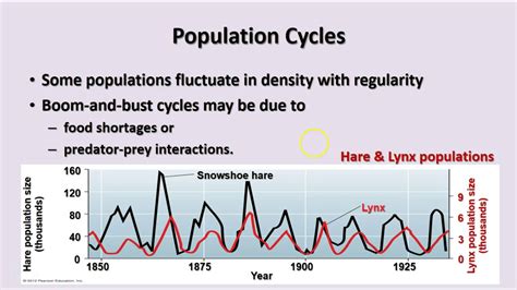 Ecology Populations And Communities Youtube