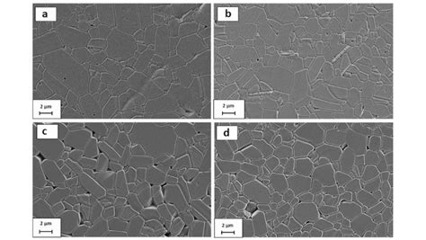 Sem Microstructure Of Sintered Alumina Samples Obtained With The Use Of Download Scientific