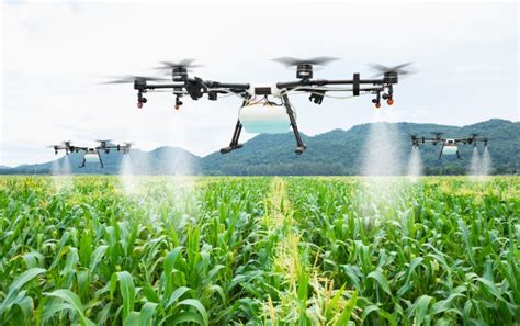 Syngenta And Iotechworld Join Hands To Facilitate Drone Spraying In Agriculture Agriculture Post