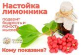 Настойка из лисичек на водке — как приготовить и принимать