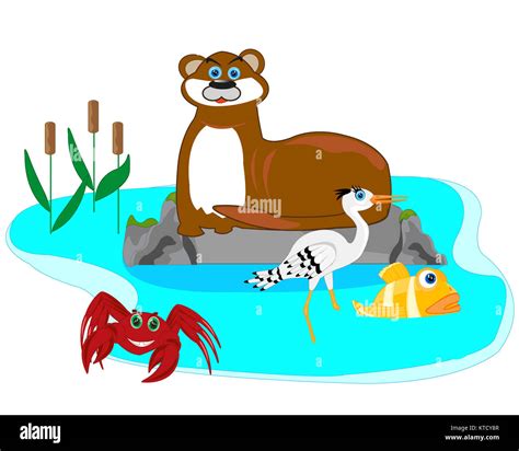 Cartoon Otter Cut Out Stock Images And Pictures Alamy