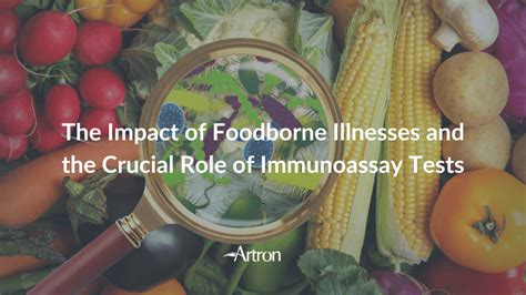 The Impact Of Foodborne Illnesses And The Crucial Role Of Immunoassay