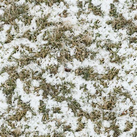 Grassfrozen0027 Free Background Texture Snow Ground Grass Green Brown White Light Seamless